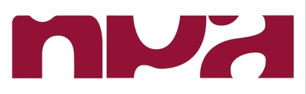 NPA Conseil logo